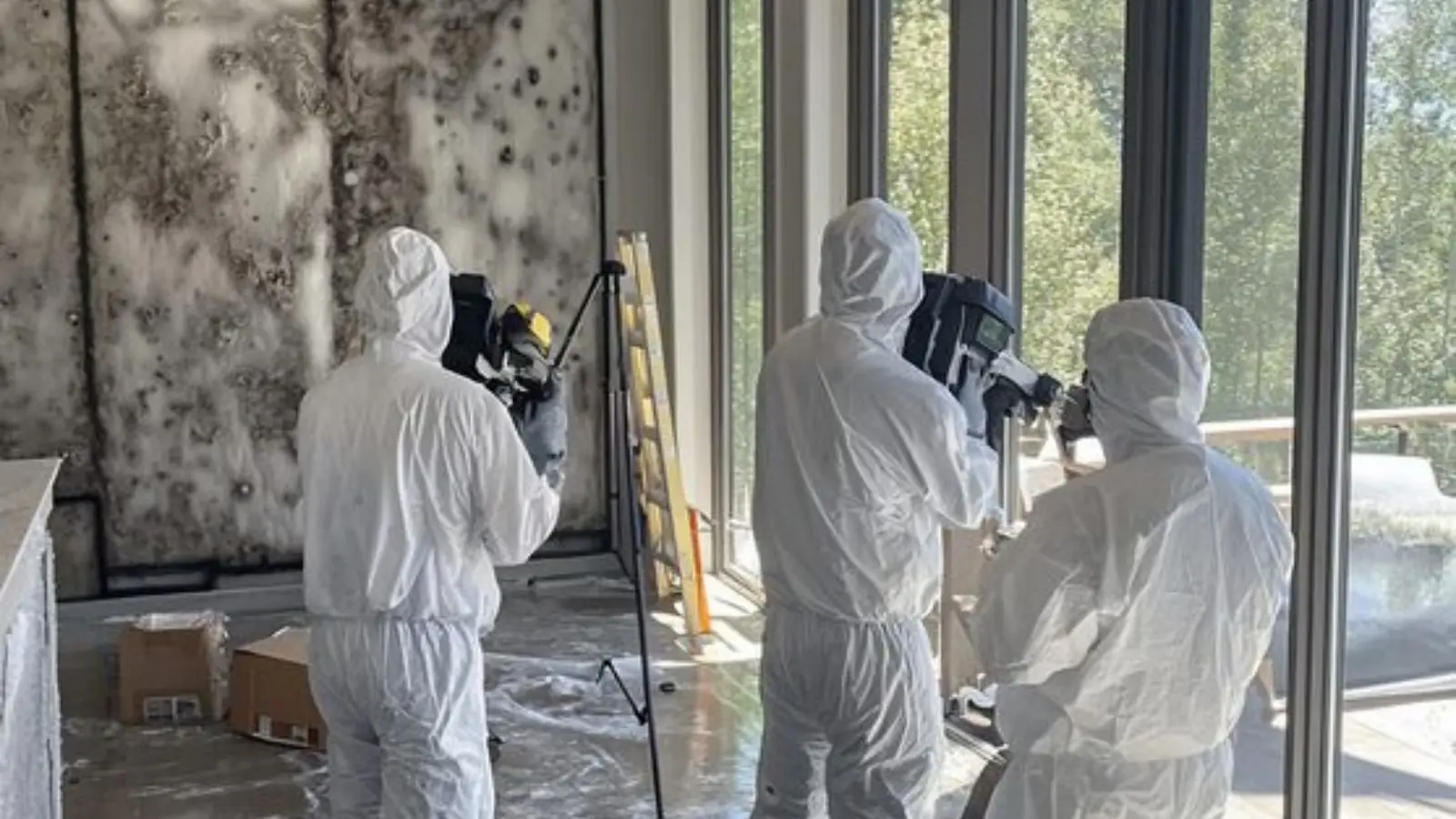 Inspection team in protective suits documenting a moldy wall